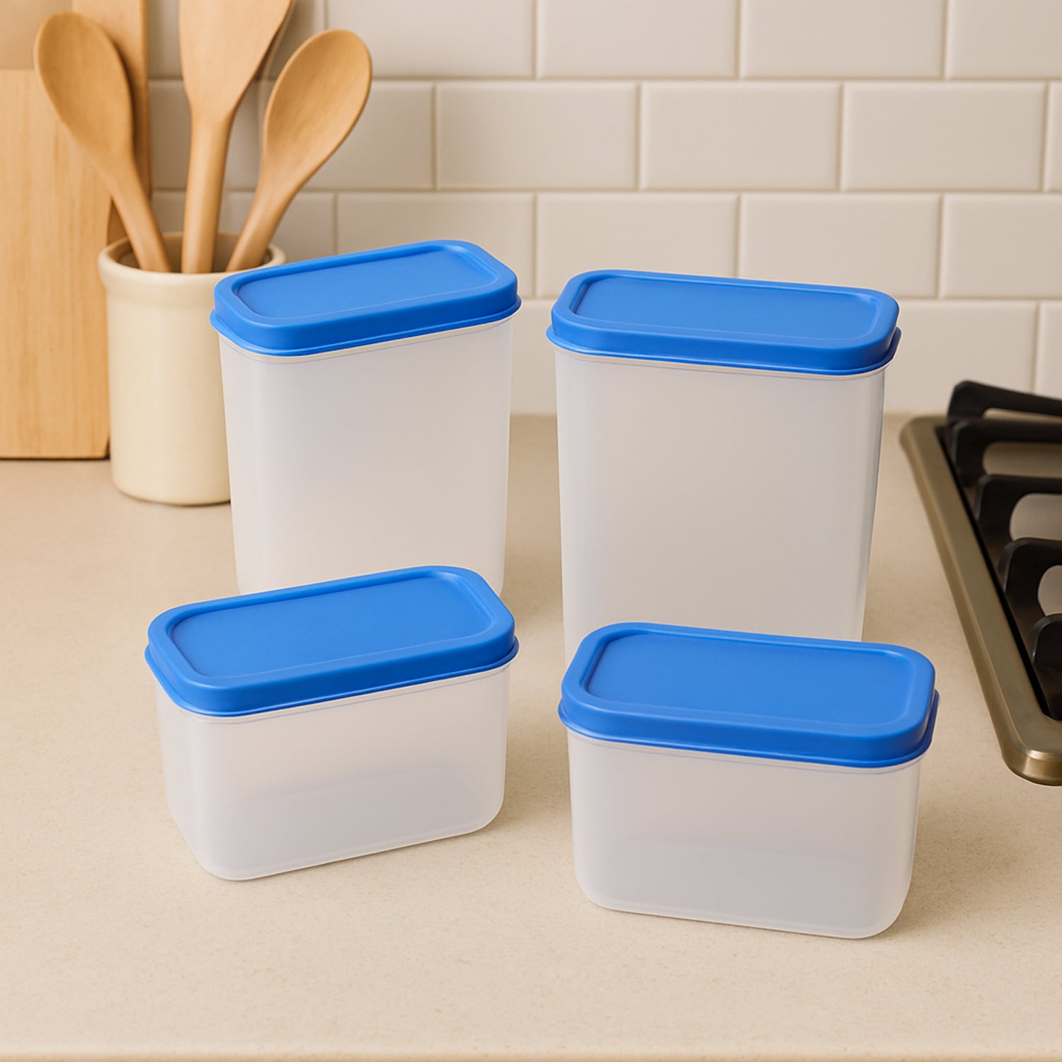 Apex Glory Plastic Storage Box Set (4 Pieces)