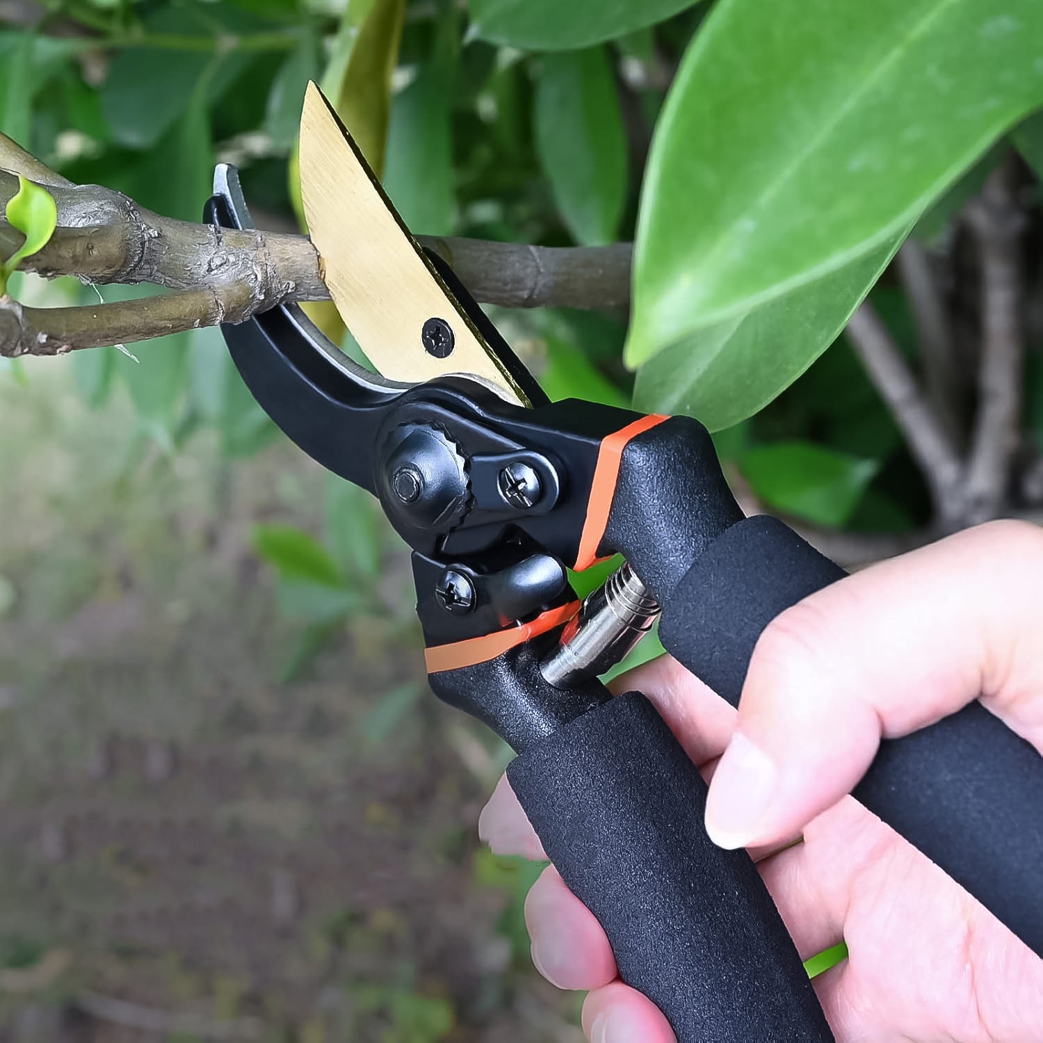 Sharp Garden Pruning Shears with Non-Slip Grip (1 Pc)