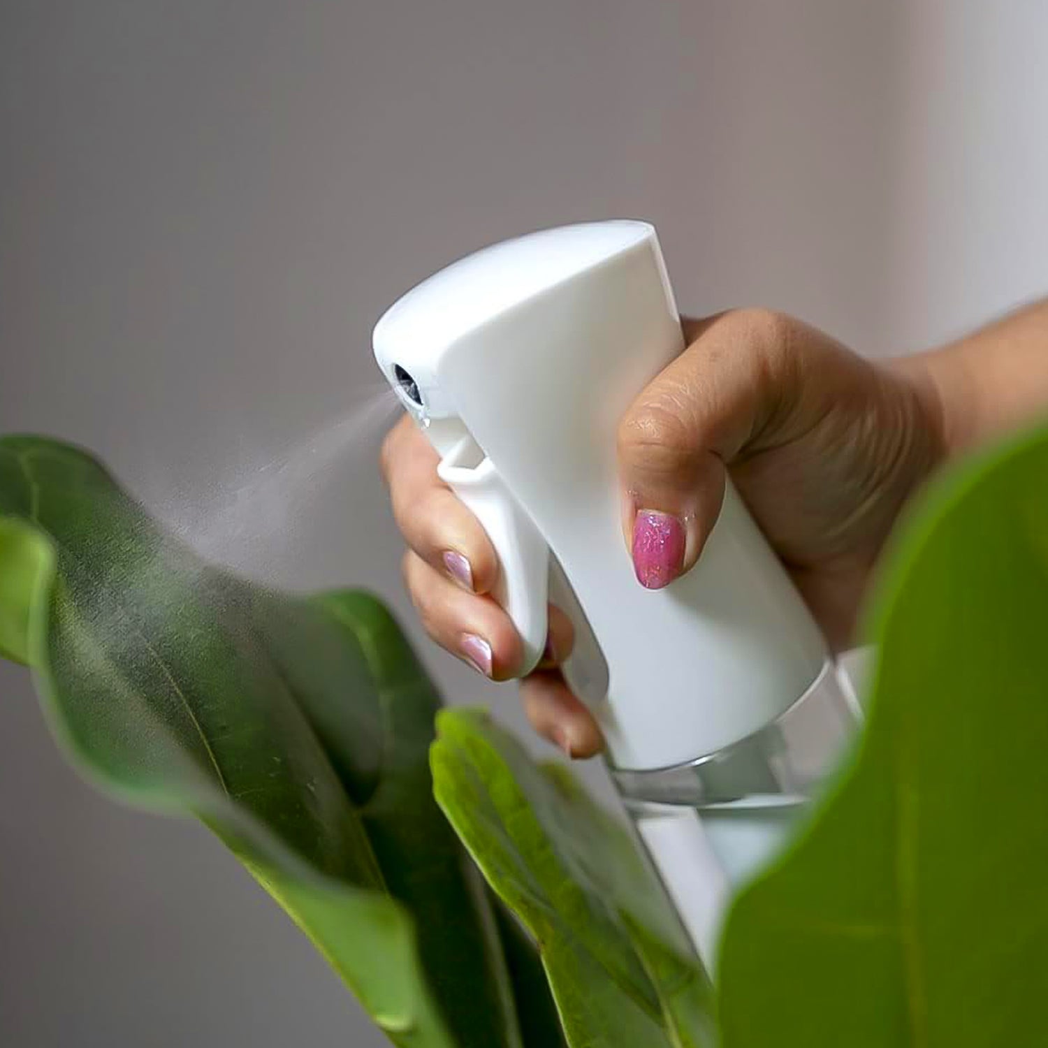 Plastic Oil Spray Bottle – Versatile Kitchen Gadget, 250ml (White Box)