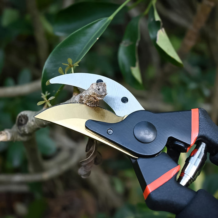 Sharp Garden Pruning Shears with Non-Slip Grip (1 Pc)