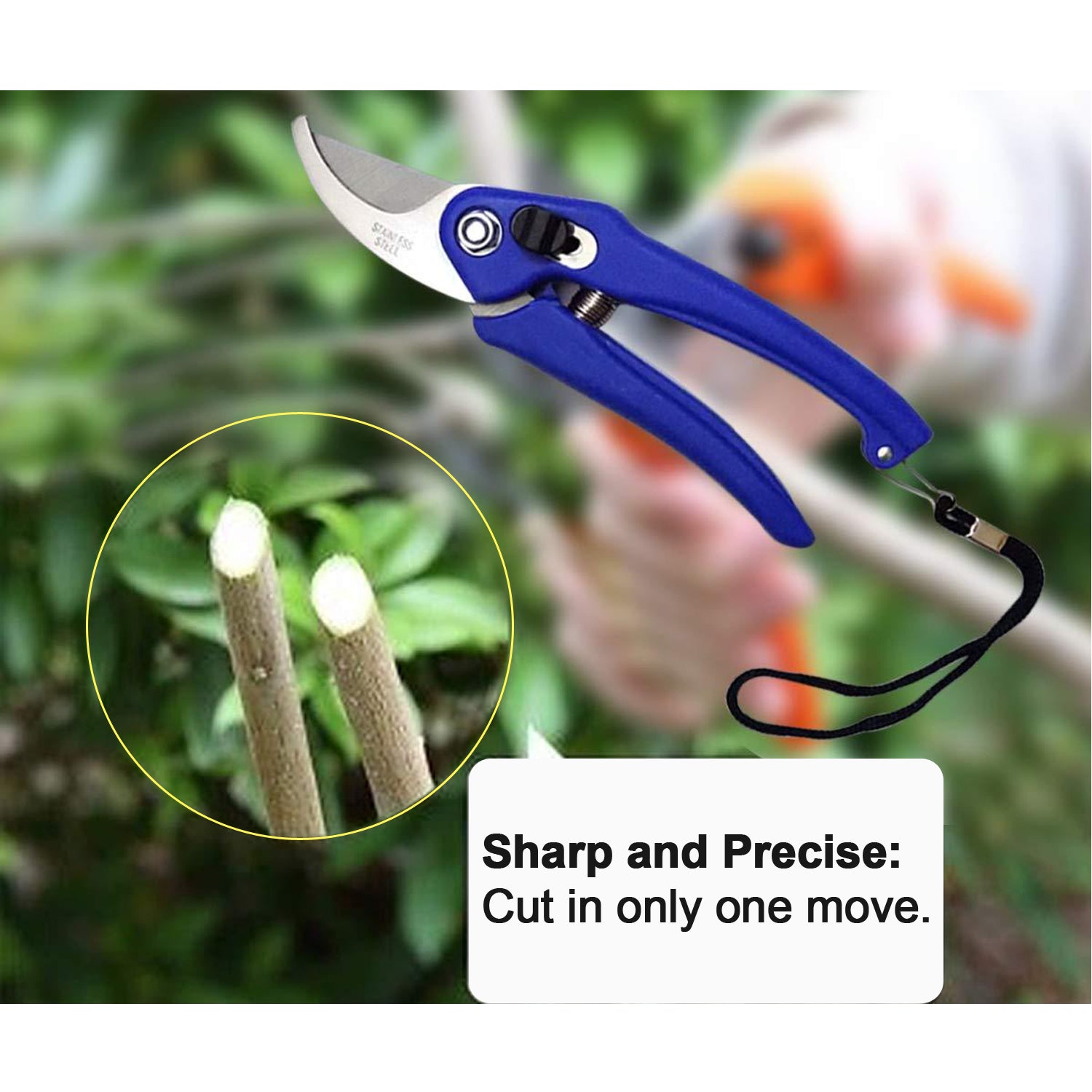 Garden Shears Pruners – Scissors for Branches, Flowers & Leaves