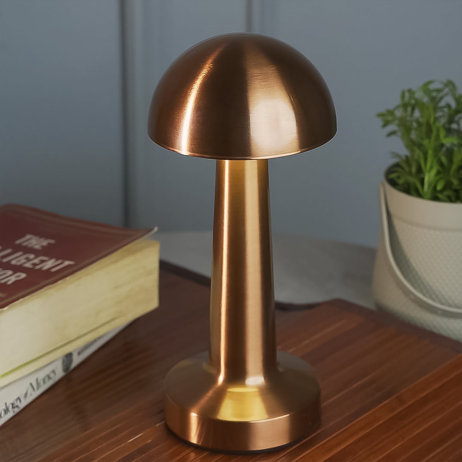 LED Desk Lamp with Touch Control – Portable Metal Decorative Lamp