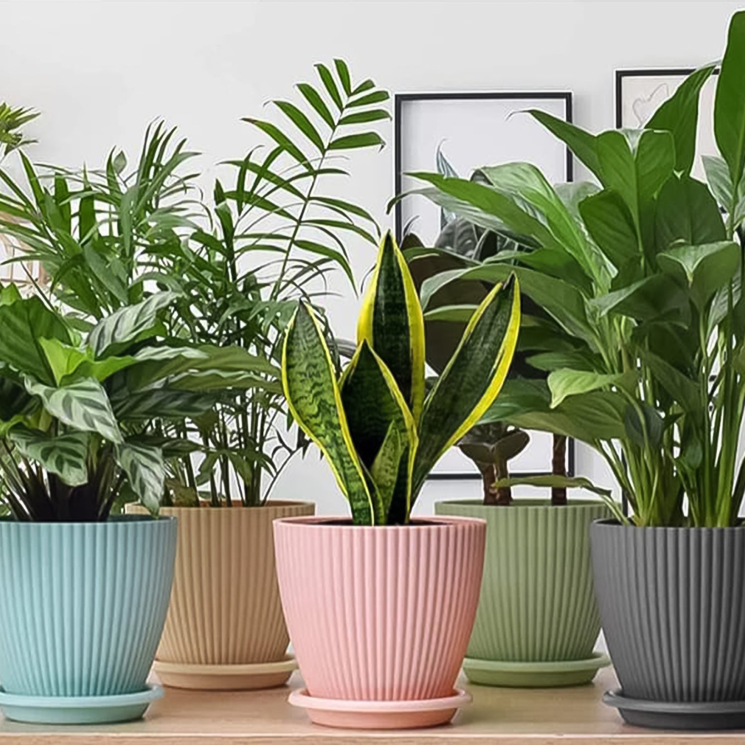 Plastic Flower Pot Set with Bottom Tray – 5 Pieces