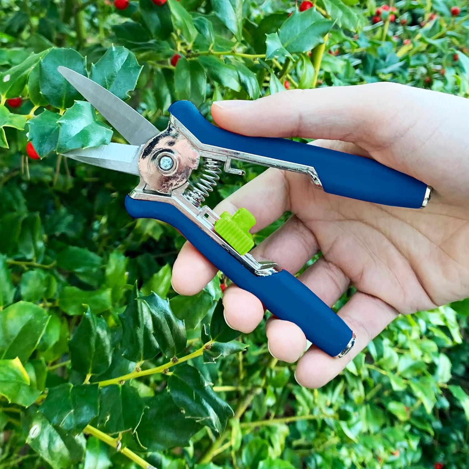 Pro Precision Pruning Shears – Micro Tip Garden Scissors