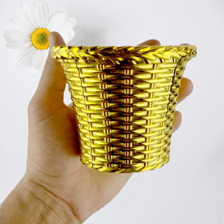 Plastic Valencia Flower in Pot – Home & Outdoor Decor (1 Pc)