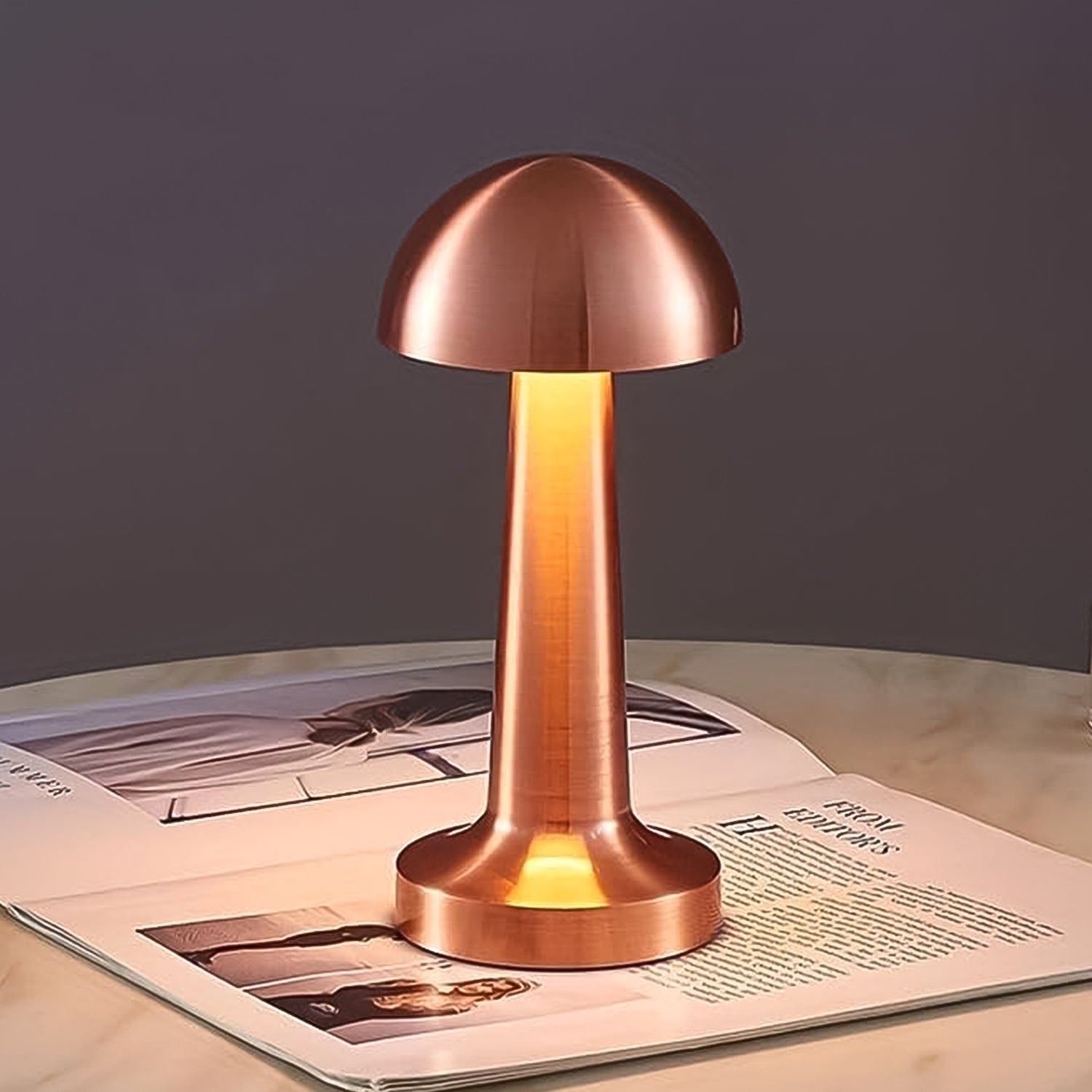 LED Desk Lamp with Touch Control – Portable Metal Decorative Lamp