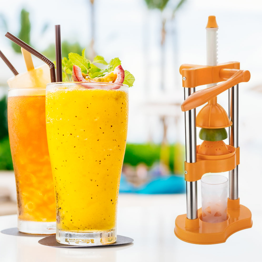 Manual Cold Press Juicer – Instant Juice Squeezer for Fruits & Vegetables
