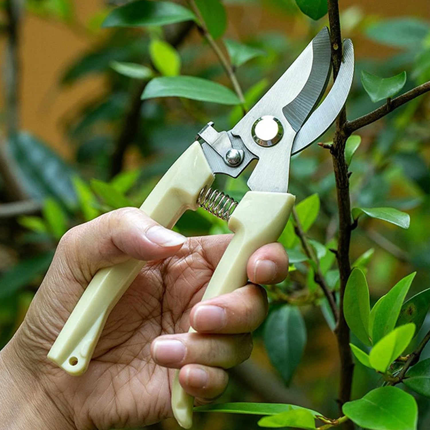 Stainless Steel Pruning Shears – Sharp Blades & Comfortable Handle